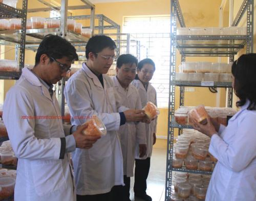 Giám đốc sở KHCN tỉnh Hưng Yên tham quan phòng nuôi cấy đông trung hạ thảo ảnh 4