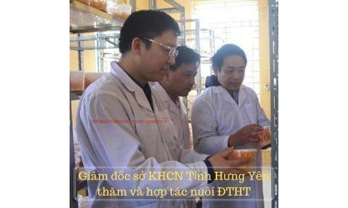Hoạt động nghiên cứu khoa học với sở KHCN Hưng Yên